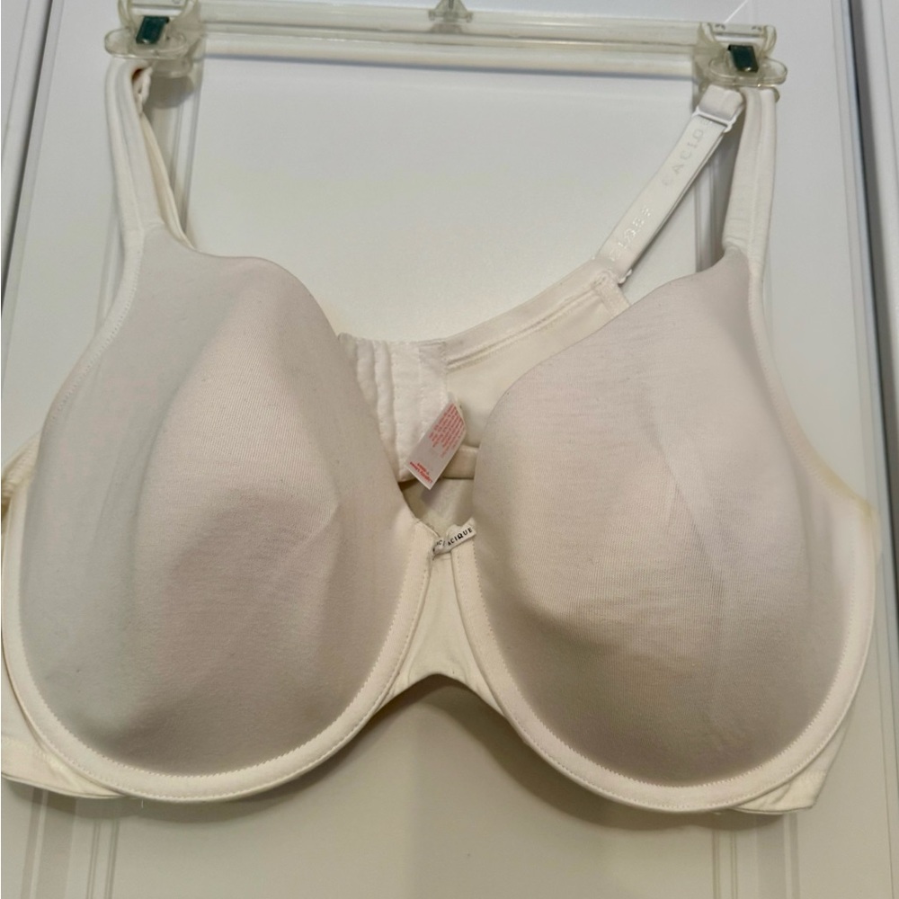 Plus size bra